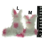 Bunny_Size_chart