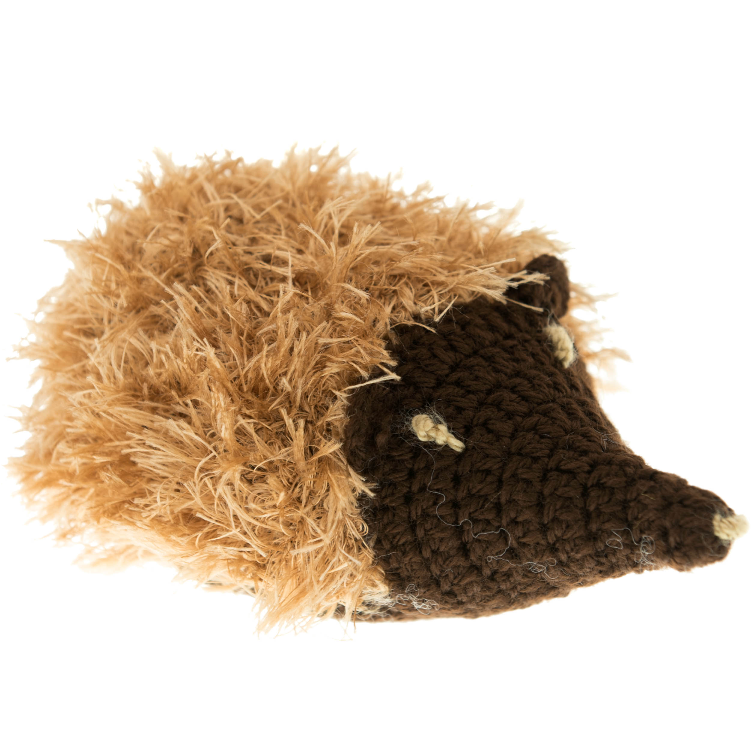 Hedgehog