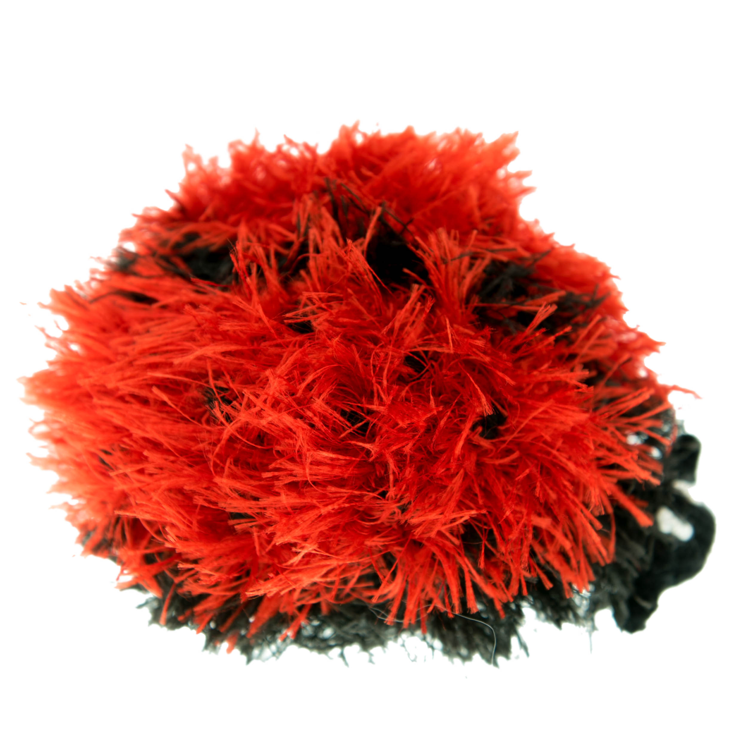 Lady Bug