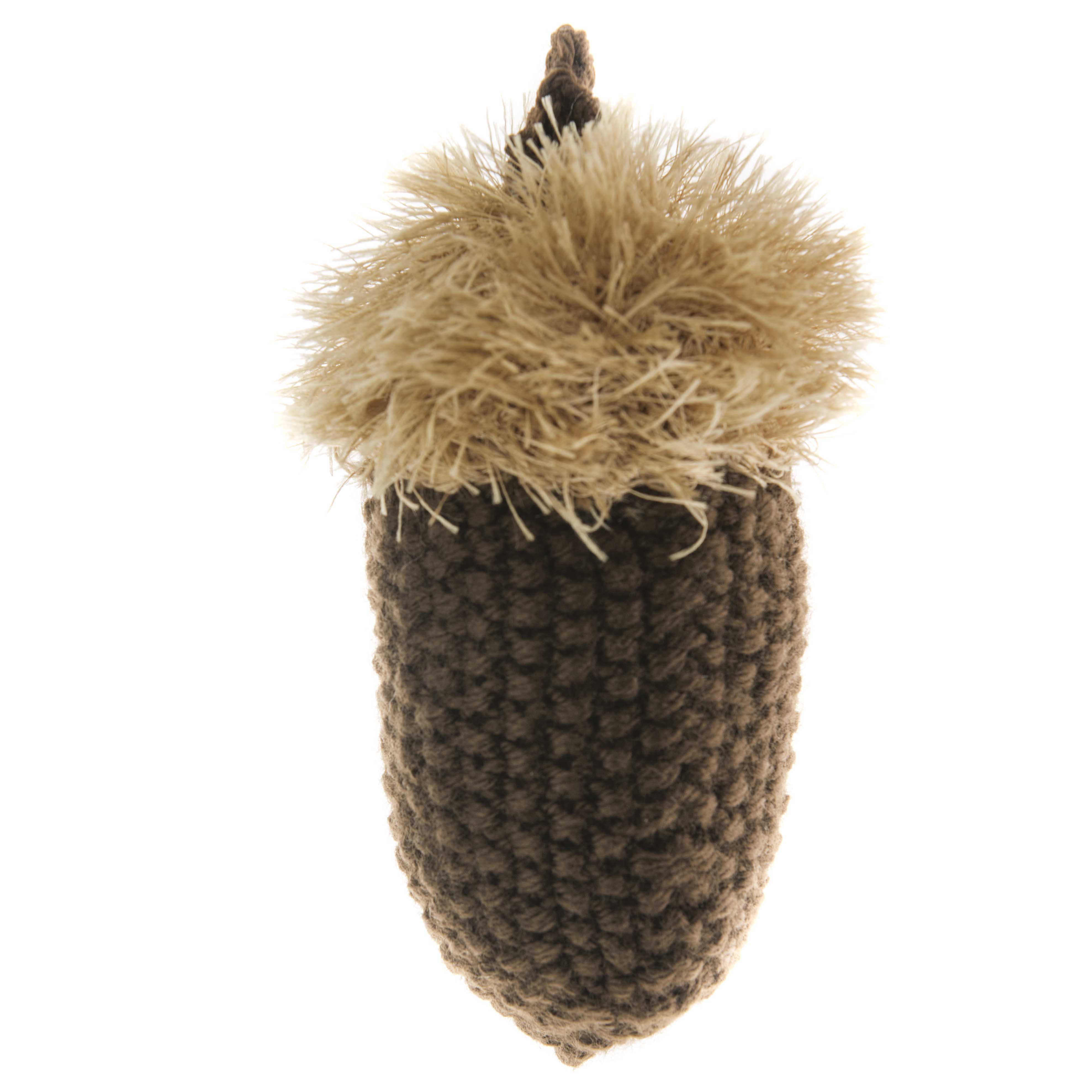 Acorn