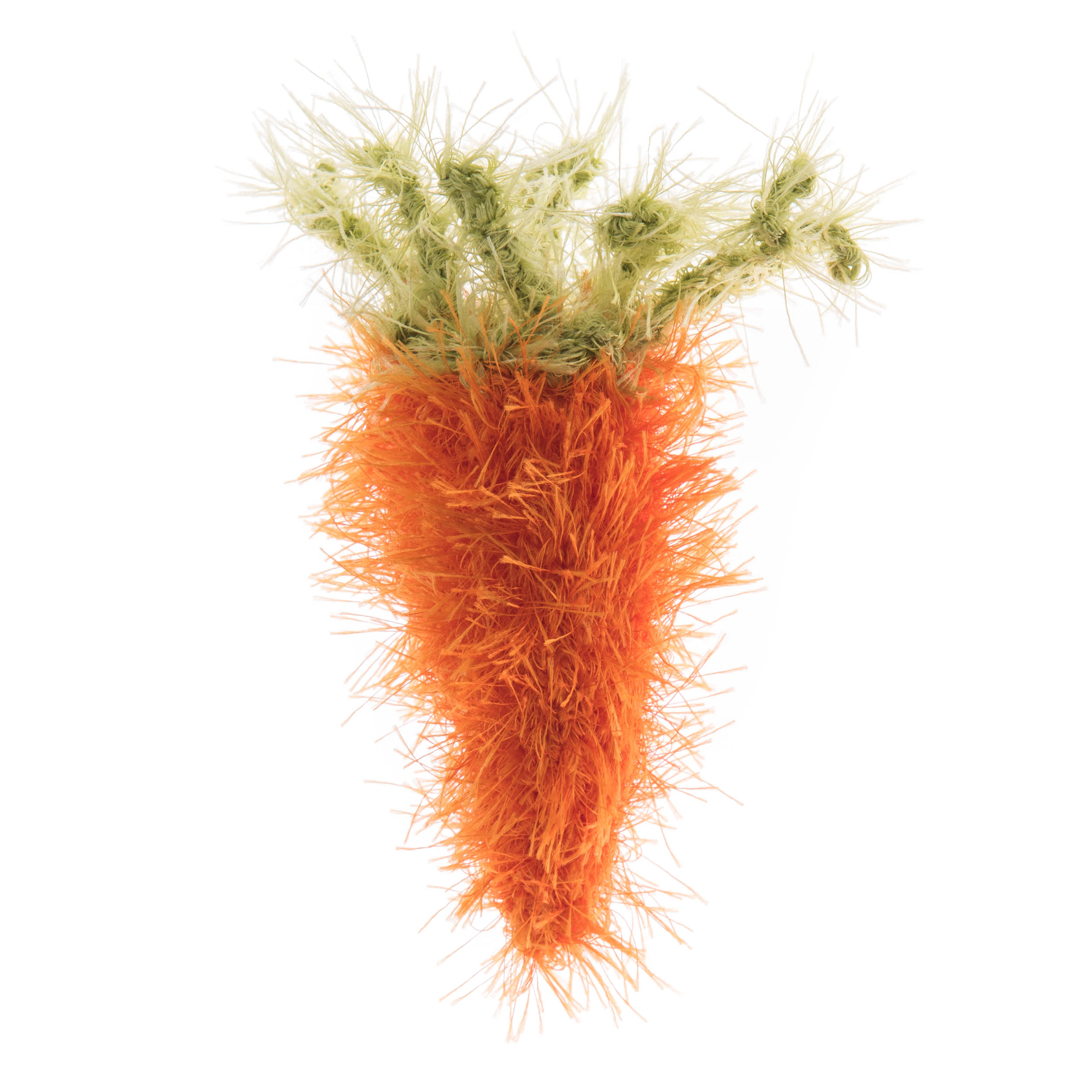 Carrot with Catnip